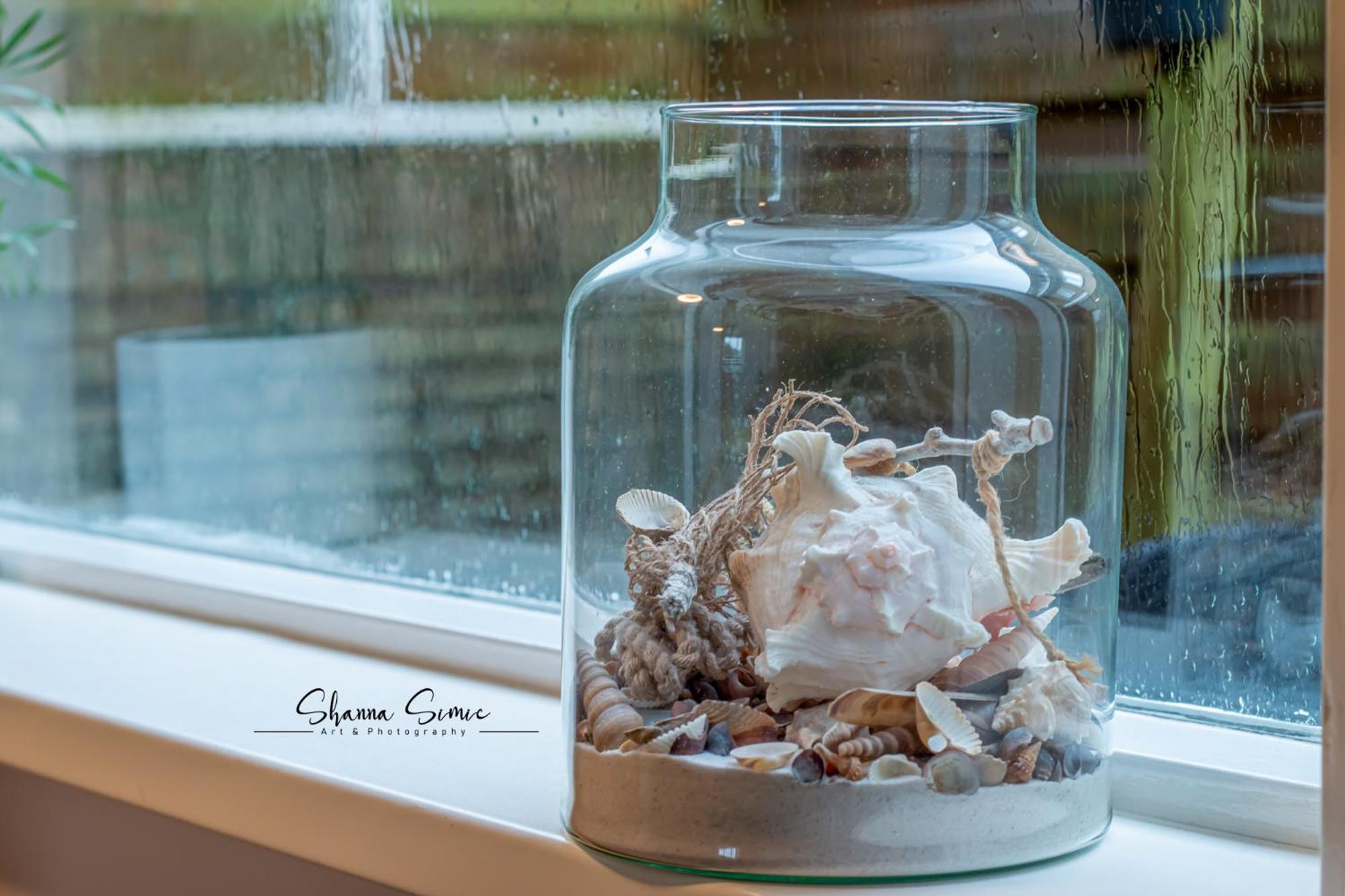 Carpe Diem Egmond Aan Zee By Urban Home Stay Dış mekan fotoğraf